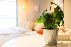 Ένα ή περισσότερα κρεβάτια σε δωμάτιο στο urban stay 博多-博多駅徒歩6分-Wi-fi完備2タイプ