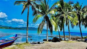 eine Gruppe Palmen und ein Boot an einem Strand in der Unterkunft Departamento frente a Playa Cocles in Talamanca