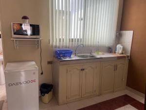 eine kleine Küche mit Spüle und Mikrowelle in der Unterkunft Super centrally located and comfortable apartment in Cochabamba