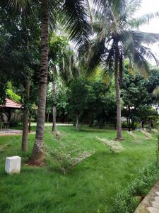 Fotografie z fotogalerie ubytování ECR Blue Dolphin Farm House v destinaci Sadras