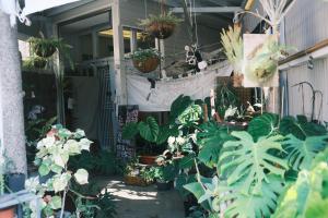 Un jardín fuera de A Forest Homestay