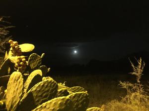 Zdjęcie z galerii obiektu Il Pieddo w mieście Vico del Gargano
