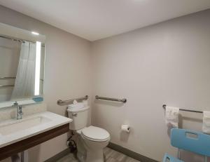 a bathroom with a toilet and a sink and a mirror at Comfort Inn Falls Church - Tysons Corner in Falls Church