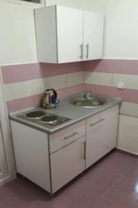 a small kitchen with a sink and a counter at Guest House Oleander in Petrovac na Moru