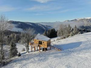 a wooden cabin in the snow on a mountain at Wild House Donovaly in Donovaly