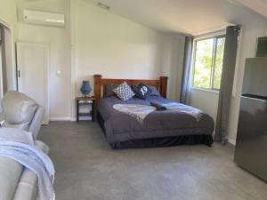 ein Schlafzimmer mit einem Bett und einem Fenster und einem Fernseher in der Unterkunft Rosehill cottage and bush retreat in Glastonbury