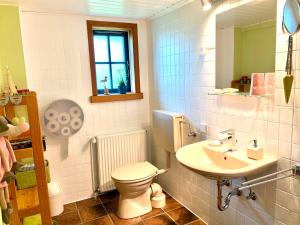 a bathroom with a toilet and a sink at Reetdachkate Müllerhaus von 1860 in Thalingburen +37 photos