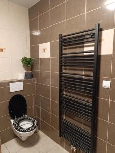 Vannituba majutusasutuses apartmán Fénix