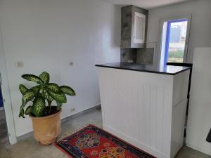 Kuchyň nebo kuchyňský kout v ubytování Auberge Azul Ifni
