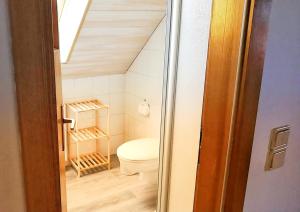 a small bathroom with a toilet in a attic at Ferienwohnungen Lindenhof in Falkenberg +34 photos