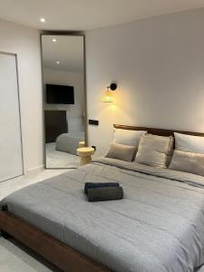 a bedroom with a large bed with a large mirror at Cocon proche de Lyon in Neyron