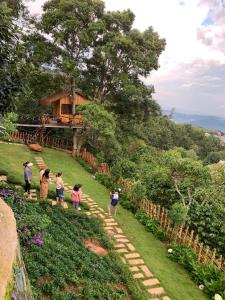 Příroda nedaleko hotelu + 61 fotografií