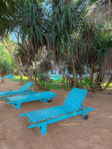 Zahrada ubytování Serendib Beach Hotel