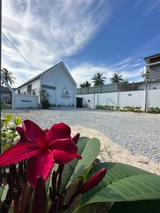 a red flower in front of a white building at Wakaf Tengah Cottage with pool near MRSMKT IPG UMT UNISZA , Kuala Nerus in Kuala Terengganu