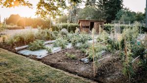 a garden with plants in a field at Domaine de la Rocque in Liorac