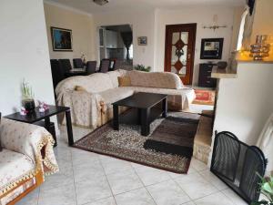 พื้นที่นั่งเล่นของ Alexadra's house Κάτω Αλμυρή