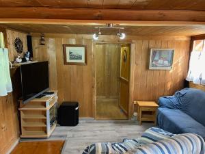 CrésuzにあるCharmant Petit Chalet 3 étoiles en Gruyèreのソファとテレビのあるリビングルーム
