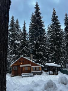 a log cabin in the snow with trees at Вила Рози, Семково in Belitsa