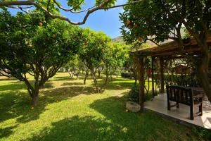 a park with a bench and orange trees at Tenuta Villa Tara in Sant'Angelo D'Ischia