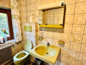 Koupelna v ubytování Haus Winkl 55 + 28 fotografií