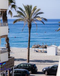 una palmera en la playa con coches aparcados en White Bay Beach Apartment, en La Herradura