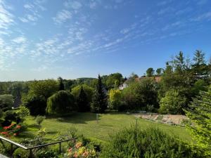 a green yard with trees and a field of grass at Ferienwohnung Schöpstalblick in Ebersbach