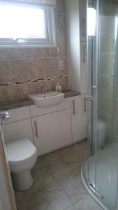 a bathroom with a toilet and a sink and a shower at 6 Berth pet friendly Chalet in Mablethorpe