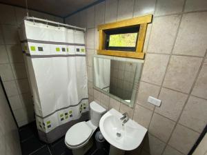 a bathroom with a toilet and a sink and a mirror at Ribera Coipue in Coipue