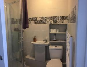 a bathroom with a toilet and a sink and a shower at La comete 12 in Aire-sur-lʼAdour