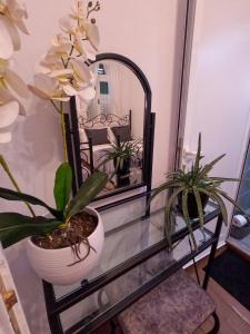 Galeriebild der Unterkunft InTown Guesthouse Shkoder in Shkodra