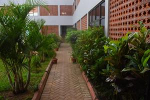 Zahrada ubytování ACP Hotel-Kigogwa