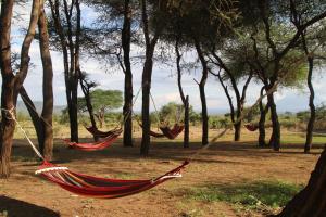 Imagem da galeria de Kili View Maasai Lodge em Longido mais 6 fotografias