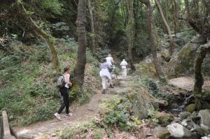 a group of people walking on a trail in the woods at Gastronomy Hotel Kritsa in Portaria