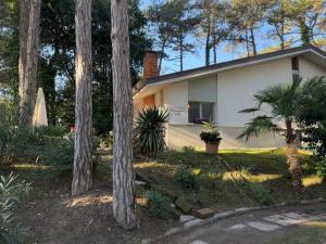 Vonkajšia záhrada v ubytovaní Villa Amedea
