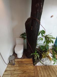 a bathroom with a toilet next to a tree at Casa Aroeira Alto Paraíso de Goiás in Alto Paraíso de Goiás +35 photos