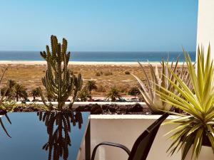 Příroda nedaleko prázdninového domu