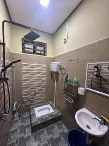 a bathroom with a sink and a toilet in it at Zahani Homestay in Kuala Terengganu