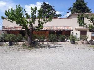 a house with a tree in front of it at Le Saint Joseph in Vallon-Pont-dʼArc +4 photos
