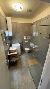 a bathroom with a toilet and a sink and a shower at Simanić Apartments in Malinska +37 photos