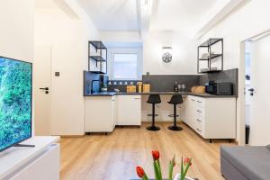 Kuchyňa alebo kuchynka v ubytovaní Calm Center Modern Apartment