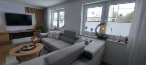 TV a/nebo společenská místnost v ubytování Ferienhaus Landbrücke