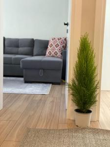 Area soggiorno di Emmas Place- Apartamenti modern por miqesor ne qender te Elbasanit