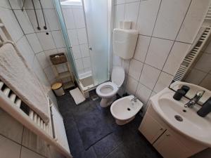 トレビニェにあるApartment Ukropina 2のトイレと洗面台のある小さなバスルーム +6枚の写真