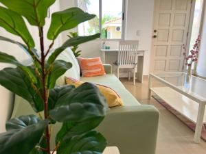a green couch in a living room with a plant at Caribbean Beach Resort 3, Piscadera - Casa D'Oro in Sint Michiel +19 photos