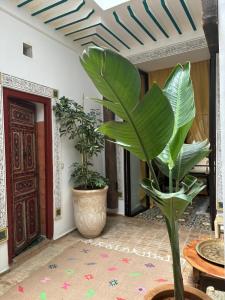 Giardino di Riad bab Adam