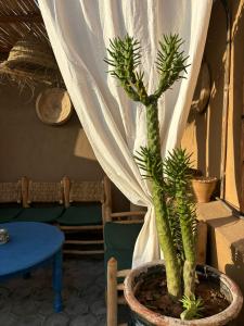 Foto dalla galleria di Riad bab Adam a Marrakech
