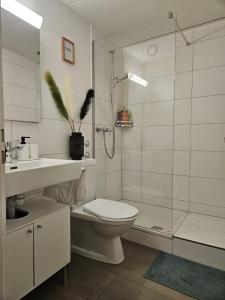 a bathroom with a shower and a toilet and a sink at Schöne Wohnung in der Innenstadt in Luzern