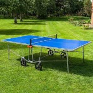 a blue ping pong table in the grass at Gites la Charrue in Monsec