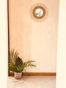 a potted plant sitting next to a wall with a mirror at Cosmos House in the Jungle in Santa Teresa Beach