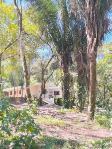 a group of palm trees in front of a building at Cosmos House in the Jungle in Santa Teresa Beach